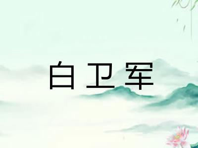 白卫军