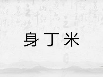 身丁米