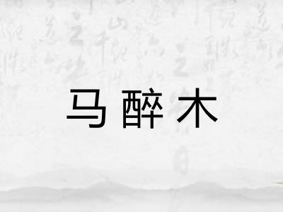 马醉木 马醉木