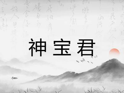 神宝君 神宝君