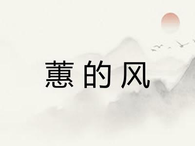 蕙的风 蕙的风