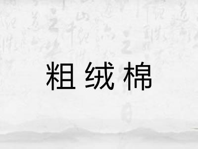 粗绒棉 粗绒棉