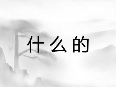什么的