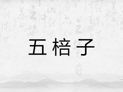 五棓子 五棓子