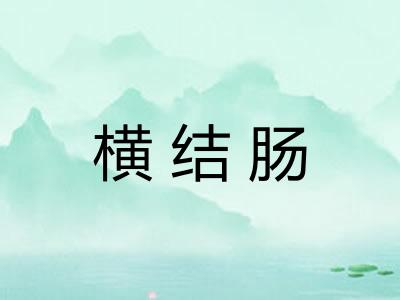 横结肠