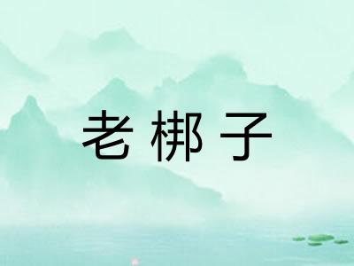 老梆子 老梆子