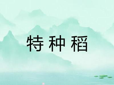 特种稻 特种稻