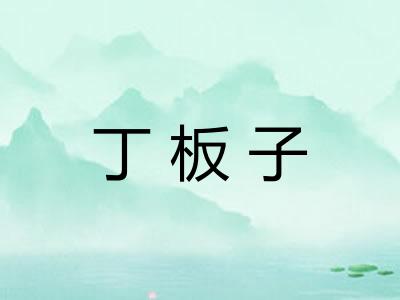 丁板子 丁板子