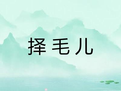 择毛儿