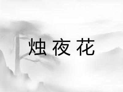 烛夜花