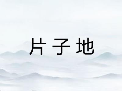 片子地