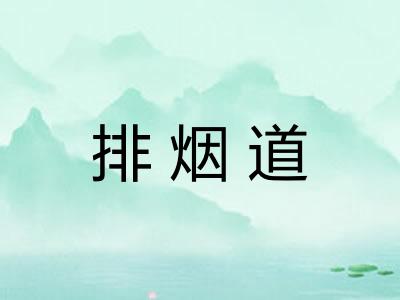 排烟道 排烟道