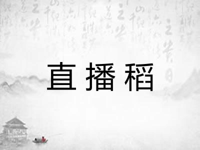 直播稻 直播稻