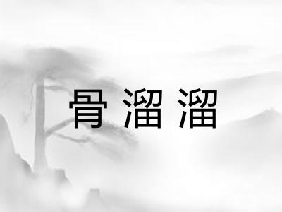 骨溜溜