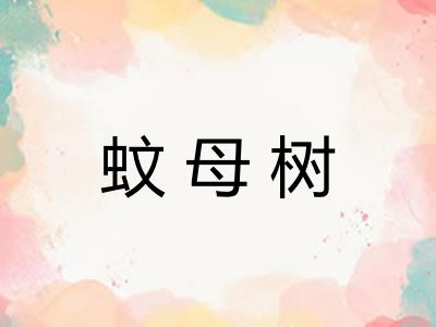 蚊母树 蚊母树