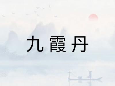 九霞丹 九霞丹