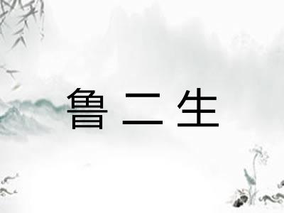 鲁二生 鲁二生