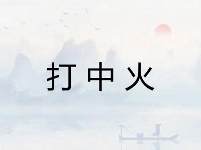 打中火 打中火