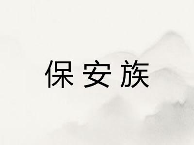 保安族 保安族
