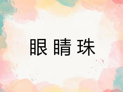 眼睛珠 眼睛珠