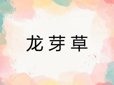 龙芽草