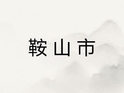 鞍山市 鞍山市