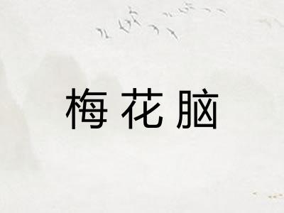 梅花脑 梅花脑