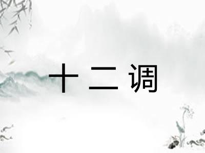 十二调 十二调