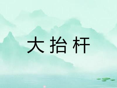 大抬杆 大抬杆
