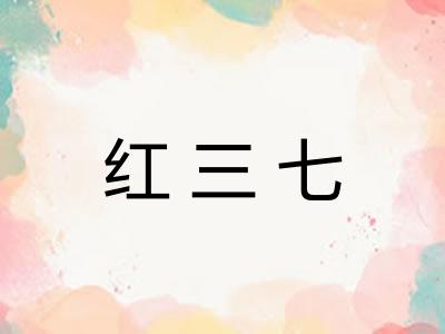 红三七