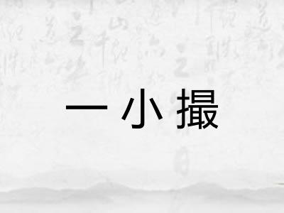 一小撮 一小撮