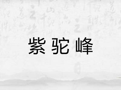 紫驼峰 紫驼峰