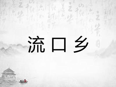 流口乡