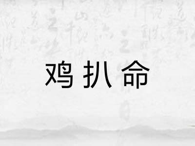 鸡扒命 鸡扒命