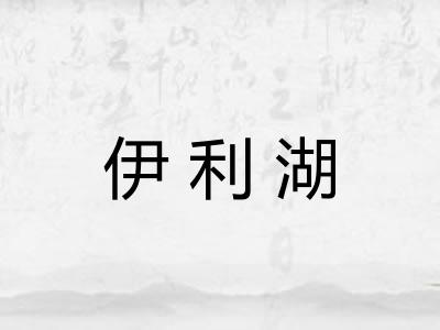 伊利湖 伊利湖
