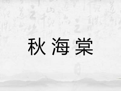 秋海棠 秋海棠