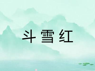 斗雪红