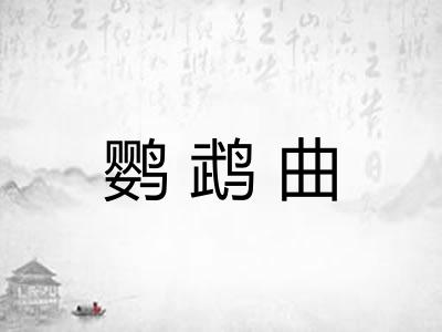 鹦鹉曲