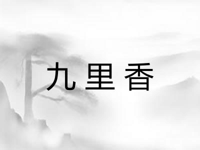 九里香 九里香