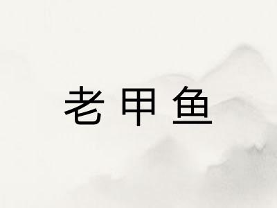 老甲鱼 老甲鱼