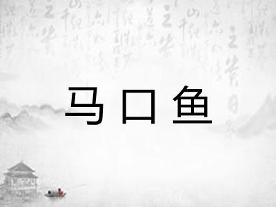 马口鱼 马口鱼