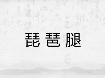 琵琶腿 琵琶腿