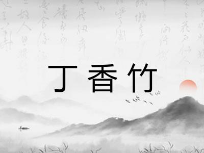 丁香竹