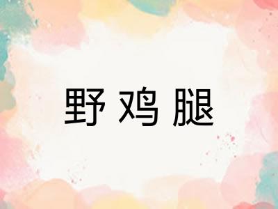 野鸡腿 野鸡腿