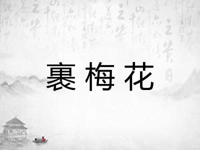 裹梅花