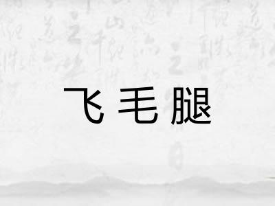 飞毛腿 飞毛腿