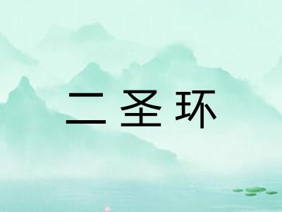 二圣环