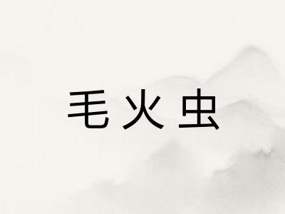 毛火虫 毛火虫