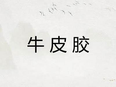 牛皮胶 牛皮胶