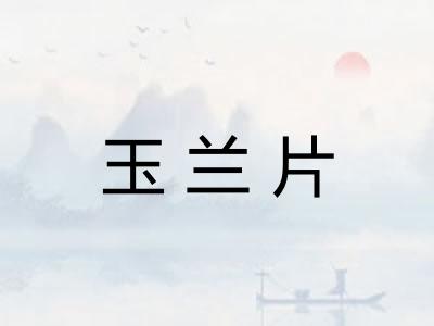 玉兰片 玉兰片